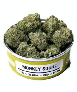 Buy Space Monkey Strain By Space Monkey Meds