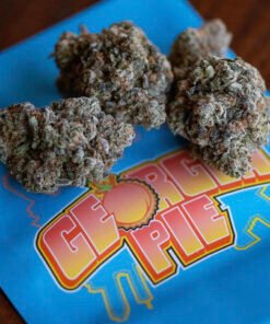 Buy Georgia Pie strain GEORGIA PIE 1