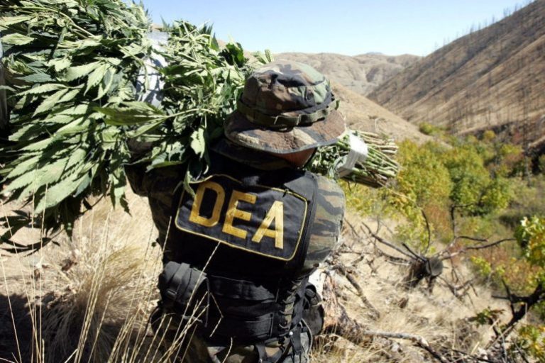 Read more about the article Federal Government Blocked from Enforcing Marijuana Laws