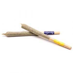 10 Pre-Rolled Joints