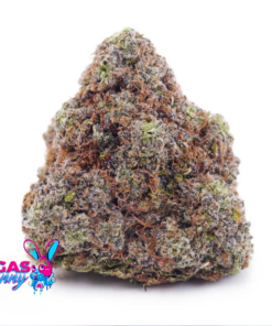 Untitled design 26 1 Untitled design 26 1