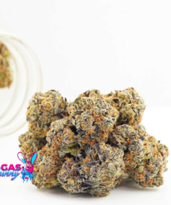 Alternative view of Greasy Pink Strain AAA+