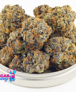 Greasy Pink Strain AAA+