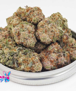 Guava Cake Strain AAA+