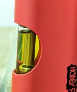 WhatsApp Image 2024 06 16 at 2.19.54 AM 1