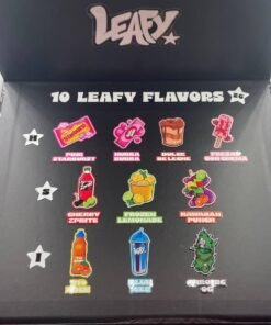 WhatsApp Image 2024 10 28 at 5.41.10 AM 1