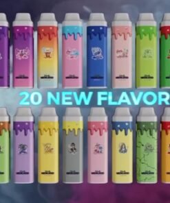 WhatsApp Image 2024 11 06 at 2.51.29 AM 1