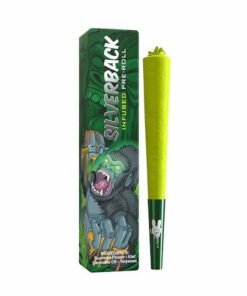 Alternative view of SILVERBACK GORILLA PRE-ROLL