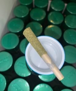 WhatsApp Image 2024 11 11 at 2.33.41 PM 2