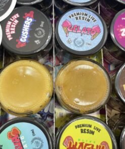 WhatsApp Image 2024 11 28 at 5.53.09 PM 1 WhatsApp Image 2024 11 28 at 5.53.09 PM 1