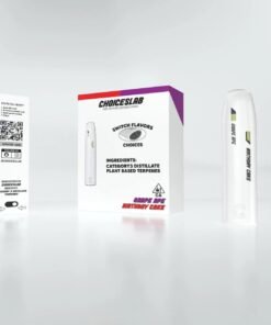Alternative view of Choices Lab Disposable 1G Dual Flavor