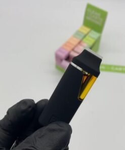 WhatsApp Image 2024 12 06 at 11.03.17 PM 1 1 WhatsApp Image 2024 12 06 at 11.03.17 PM 1 1