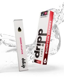 WhatsApp Image 2024 12 11 at 3.16.17 AM 1