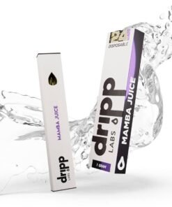 WhatsApp Image 2024 12 11 at 3.16.20 AM 1