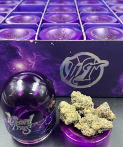 WIZARD TREES – PREMIUM INDOOR DESIGNER FLOWER JARS – 3.5GM