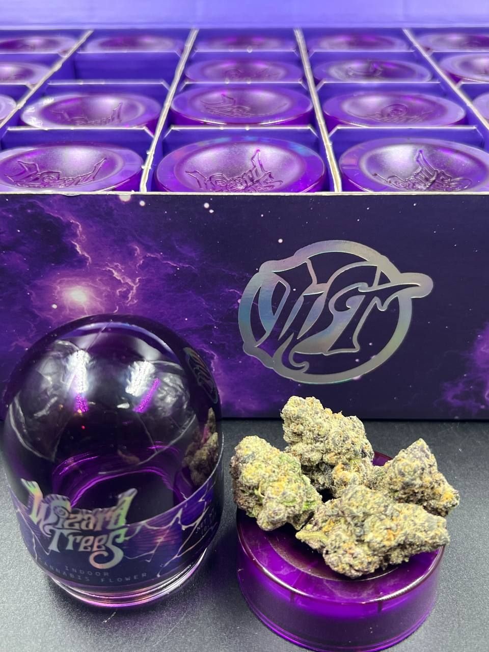 image 1159 1 WIZARD TREES – PREMIUM INDOOR DESIGNER FLOWER JARS – 3.5GM