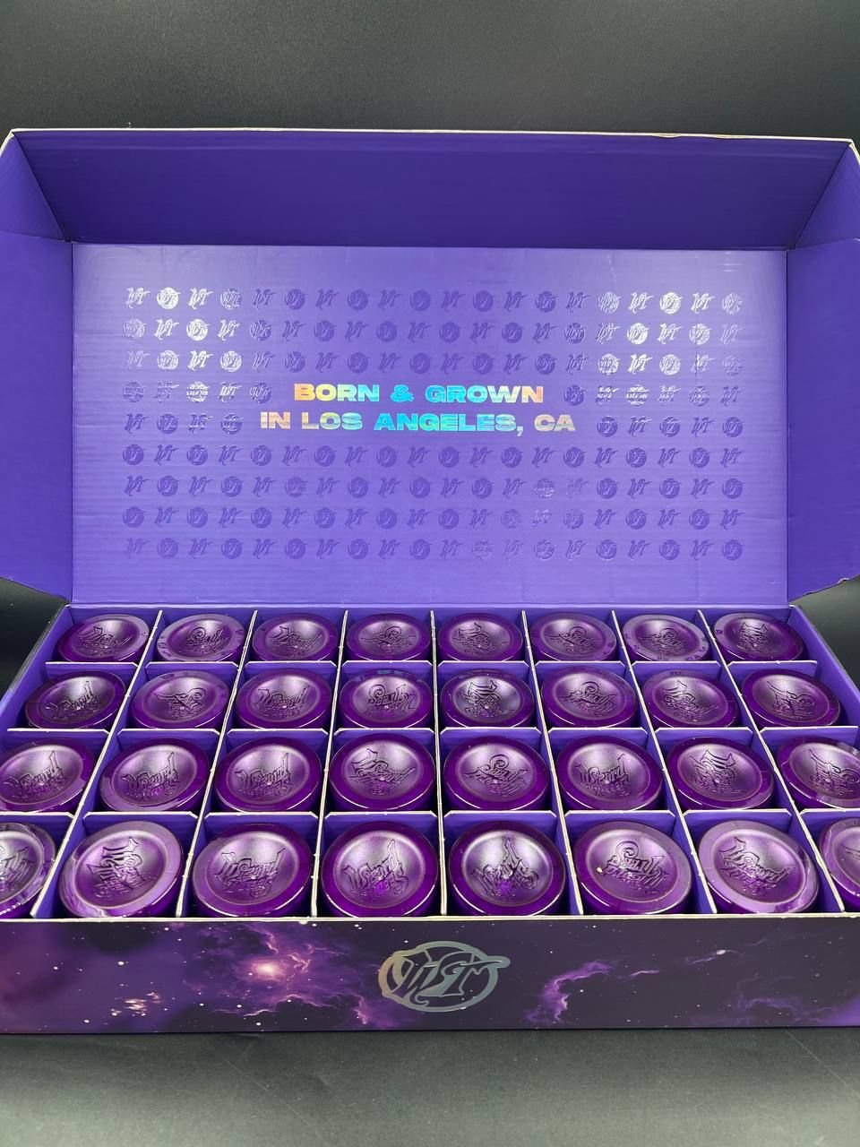 image 1160 1 WIZARD TREES – PREMIUM INDOOR DESIGNER FLOWER JARS – 3.5GM - Image 2