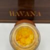 WHOLE MELT EXTRACTS HAVANA EDITION – 2025 – 1OZ