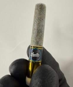 Jeeter Baby Cannon Live Resin Pre Rolls